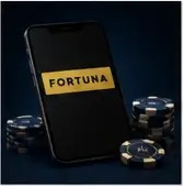 Fortuna CZ Casino informační vizuál 2